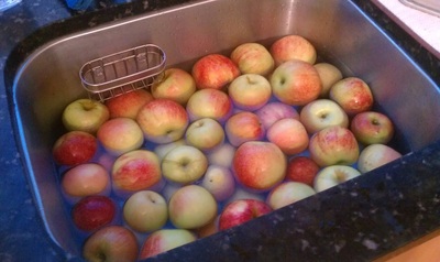 all my yummy apples from #CarterMountain Orchard, now all I need are a bunch of recipes and a party of hungry guests #PreppyPlanner