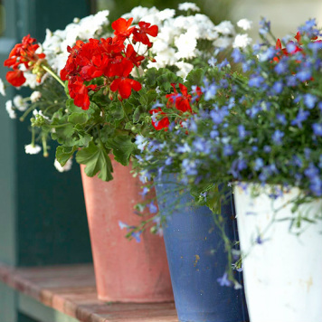 Red, Whtie and Blue Flower Arrangement