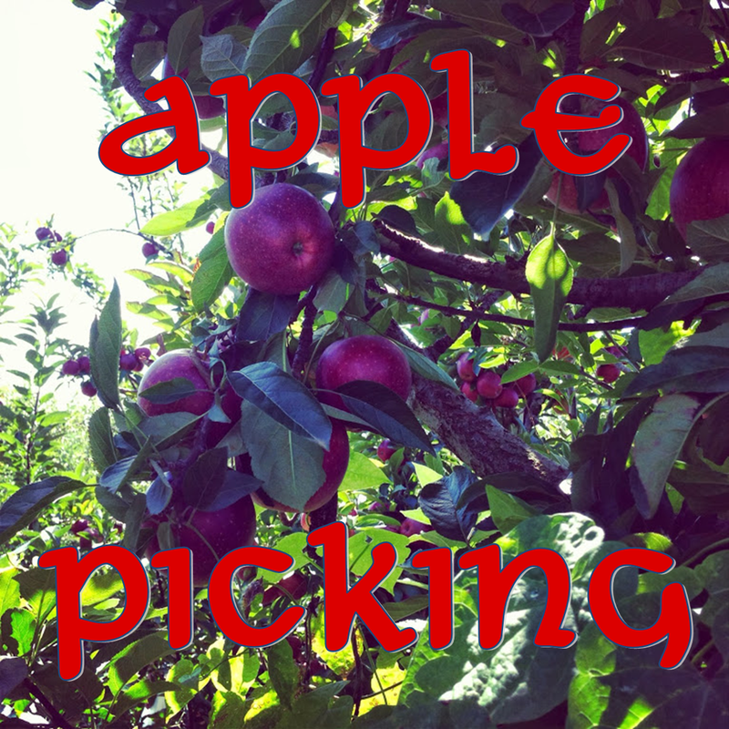 Weekend Recap: Apple Picking #PreppyPlanner