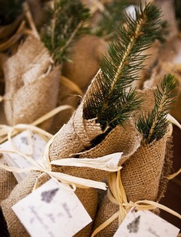 Christmas Tree Wedding: give saplings as favors that can grow just like your marriage will #PreppyPlanner
