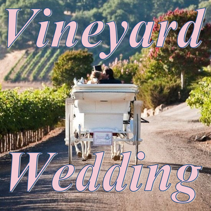 Wedding Wednesday: Vineyard Wedding #PreppyPlanner