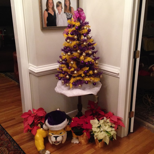 Decorated our JMU tree #PreppyPlanner