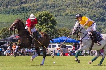Attend a polo match at King Family Vineyards #PreppyPlanner